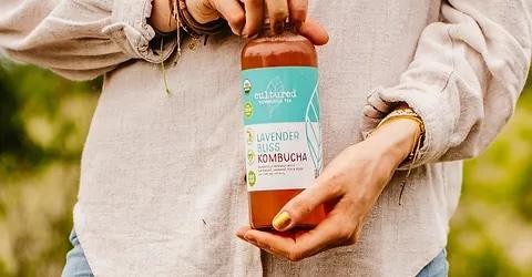 Cultured Kombucha Tea - Lavender Bliss (16oz)