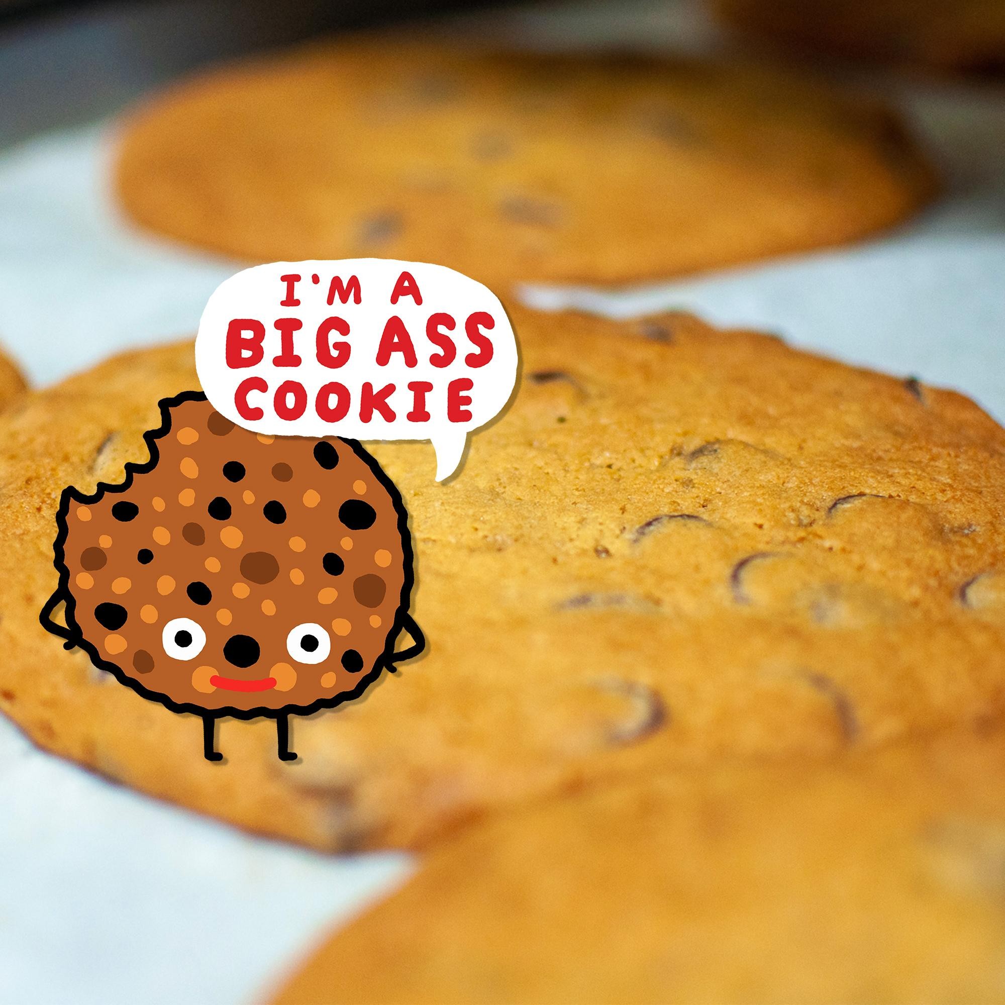 Big Ass Cookie