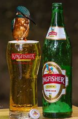 KINGFISHER (LAGER)- BLT - 12 Oz - Indian