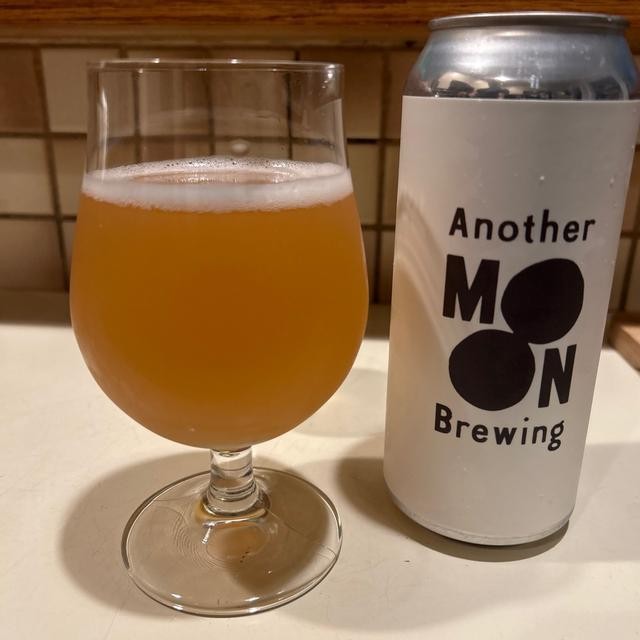 Another Moon Moony's Ale (12oz. Can)