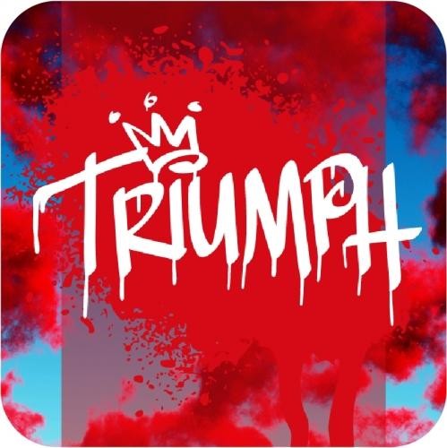 Triumph: Cherry + Cherry - Rising Storm (16oz. Can)