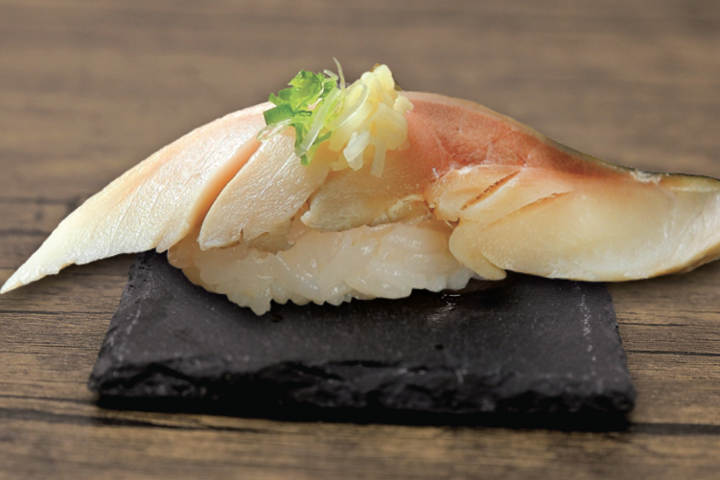 Fresh Japan Mackerel Sushi