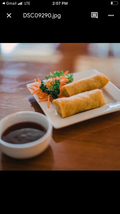 A1. VEGETABLE SPRING ROLL
