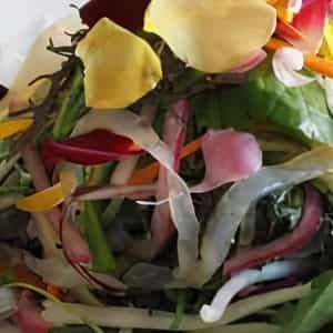 Chrysanthemum Ten Ingredient Salad (v, gf)
