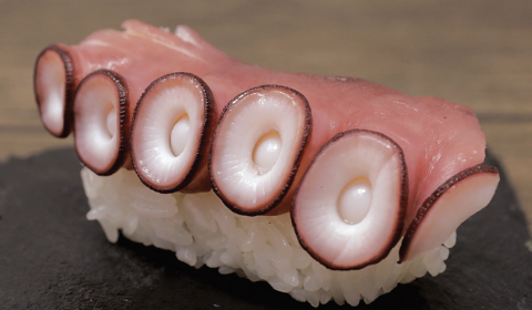 Octopus (Sushi)