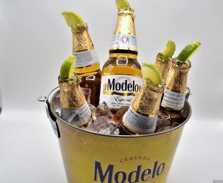 $30 Modelo Bucket