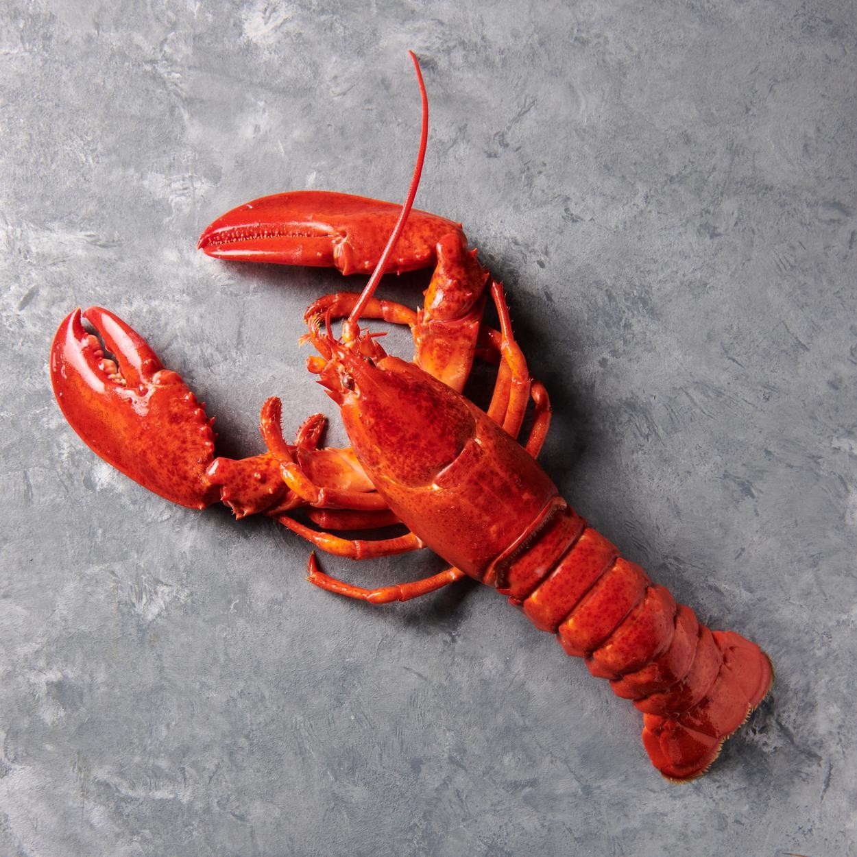 Lobster (1.25lb, Cooked)