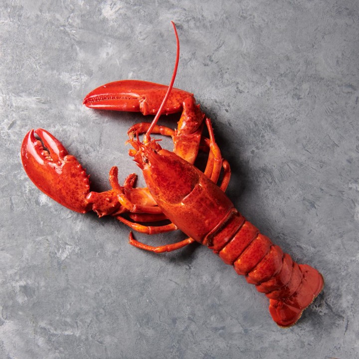 Lobster (2lbs, Cooked)