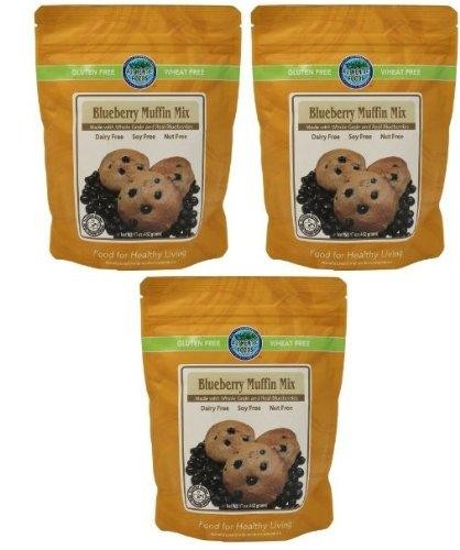 Authentic Foods - Gluten Free Muffin Mix Blueberry 15oz