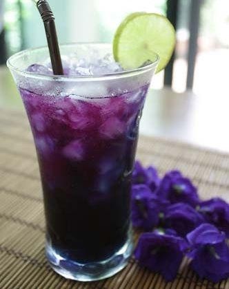 BUTTERFLY TEA