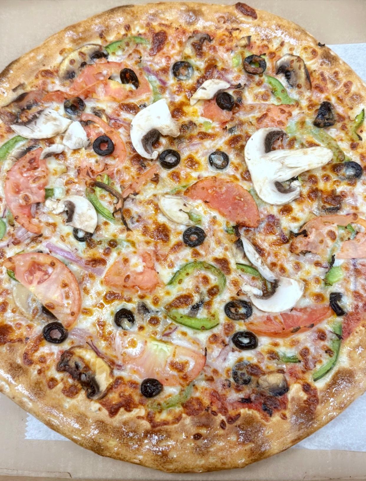 Extra Large Vegie Delight Pizza