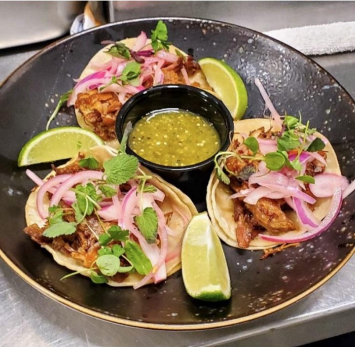 Gourmet street carnitas tacos