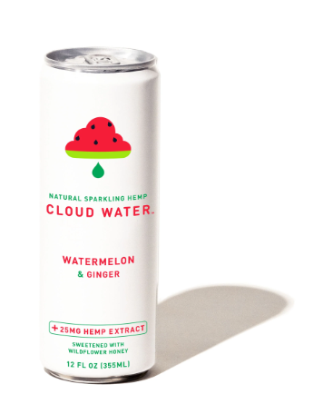Cloud Water CBD-Infused Sparkling Water 25mg CBD, Watermelon & Ginger - 12 Fl Oz
