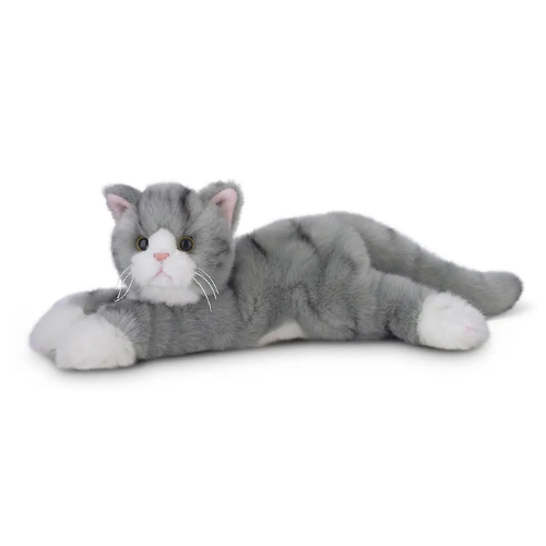 Socks the Gray Cat 156