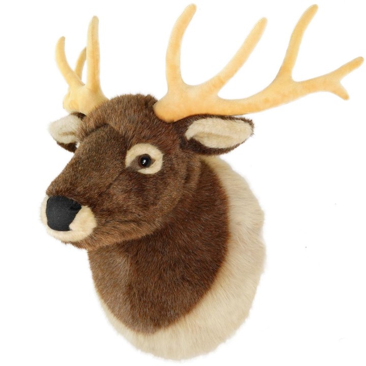 Evander the Elk