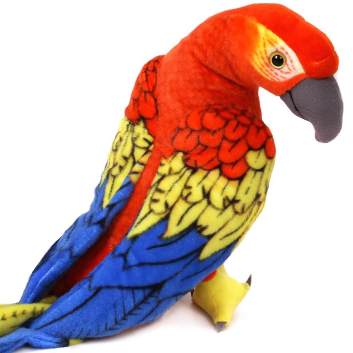 Miguelita the Macaw
