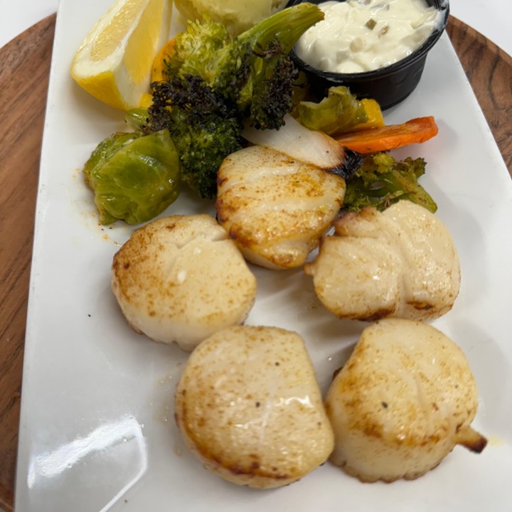 STARBOARD SCALLOPS