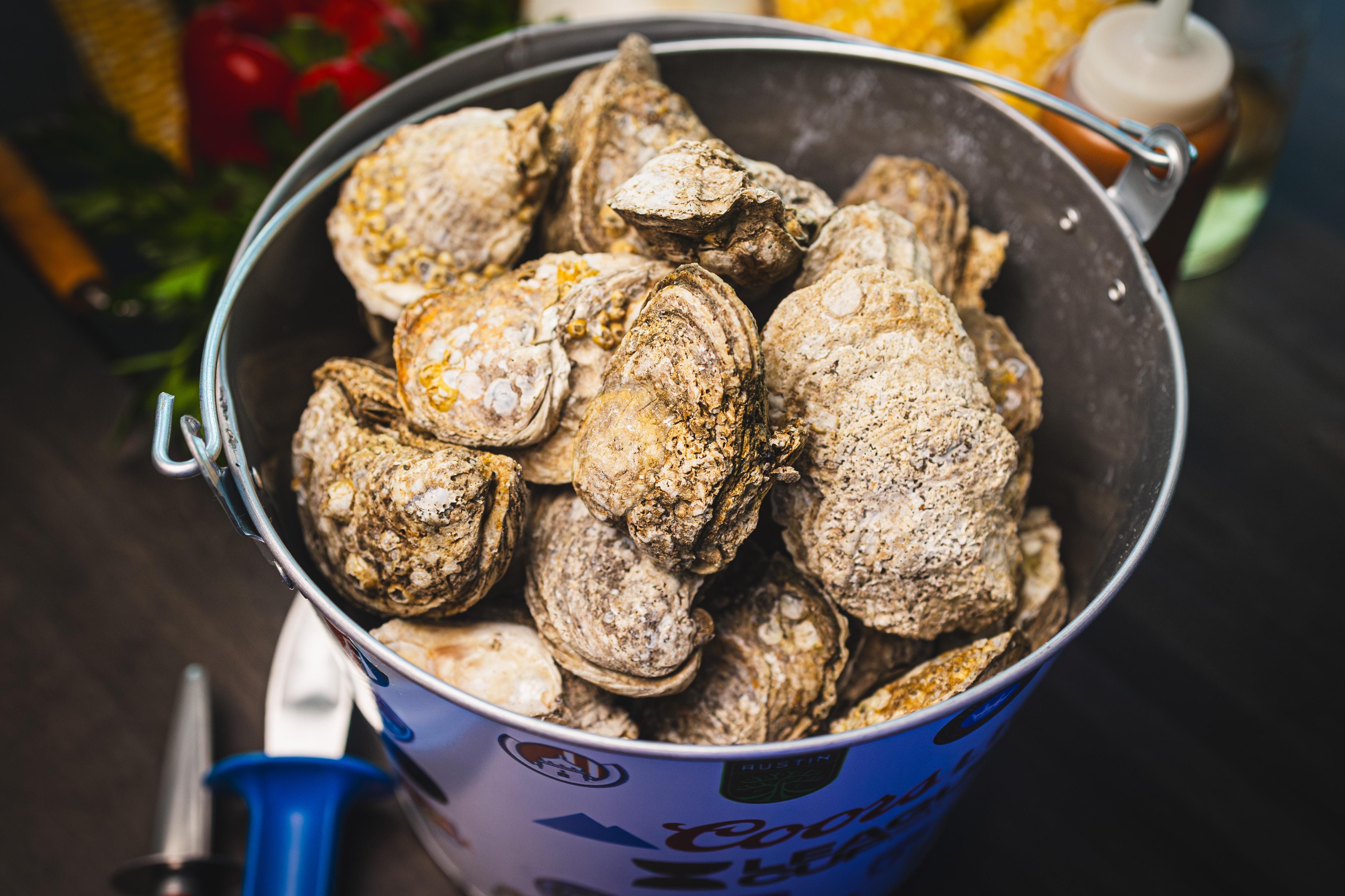 Bucket Of Steamed Oysters