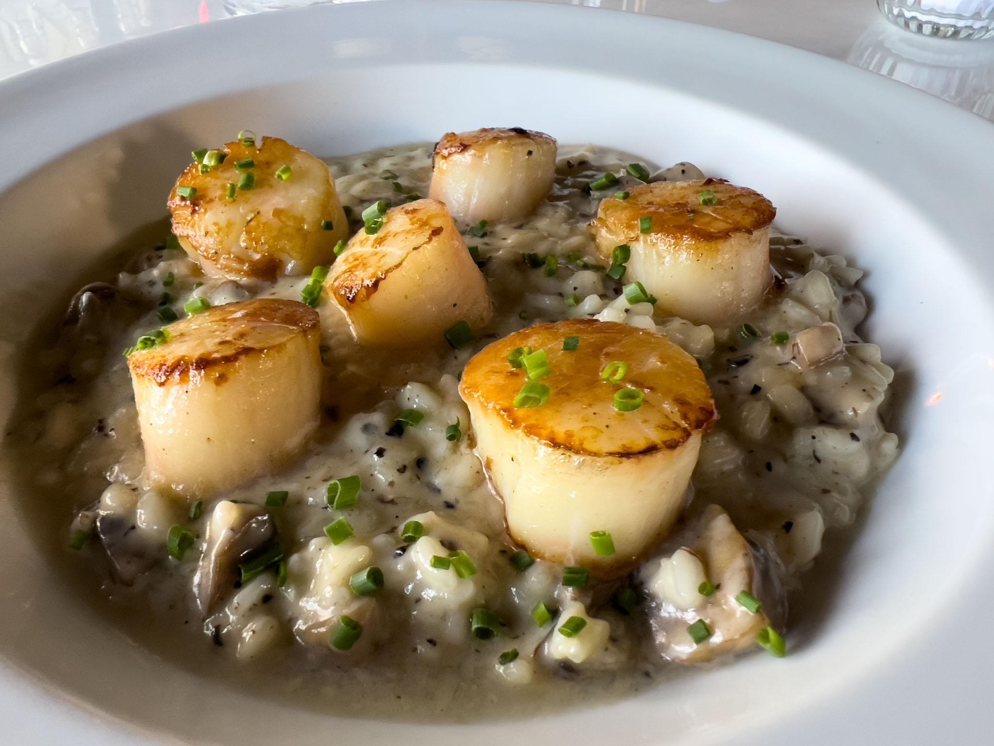 Scallops-Only Available Tuesdays