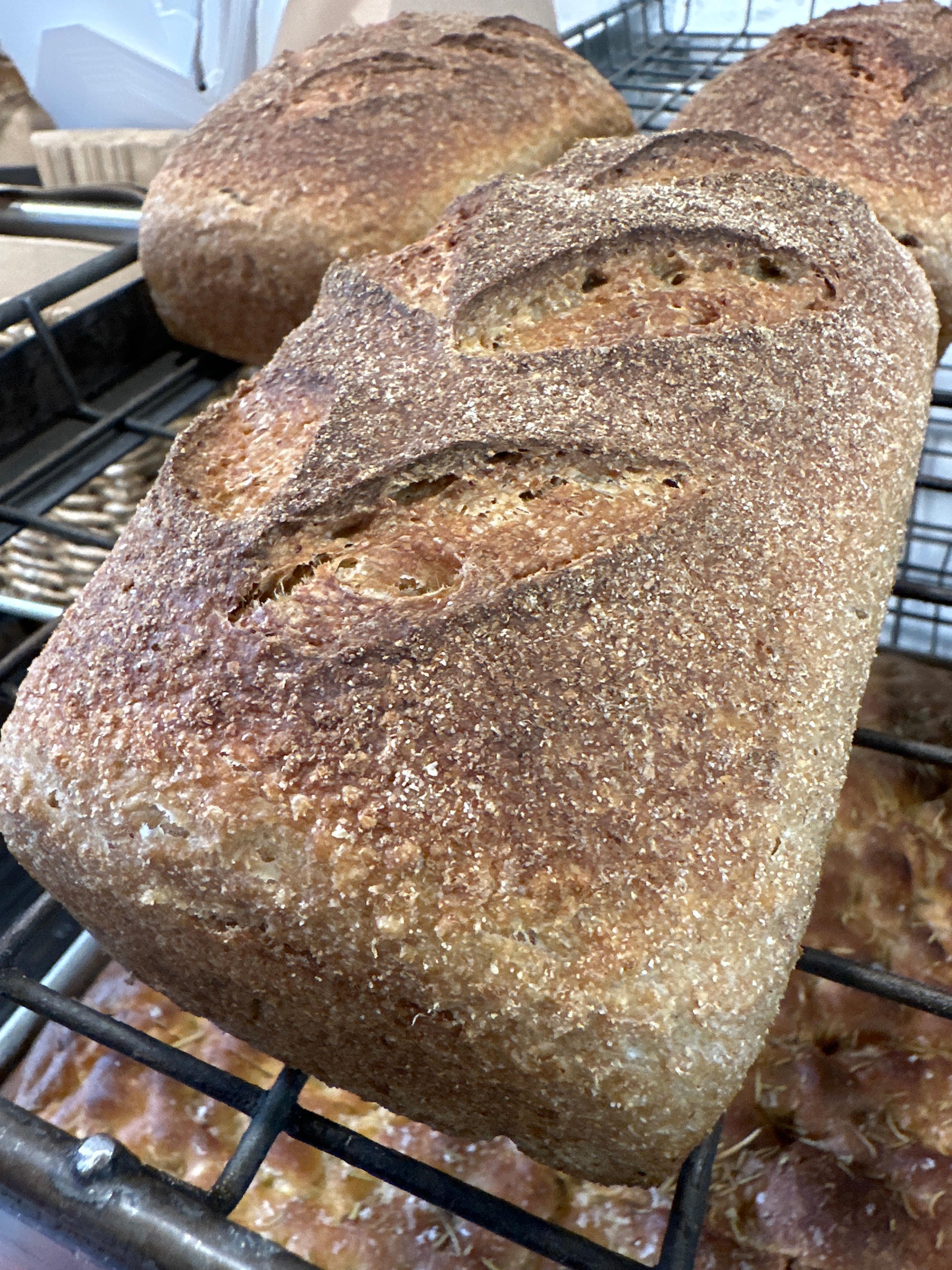 Local Whole Wheat