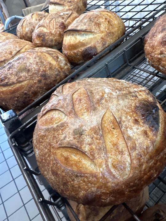 Sourdough