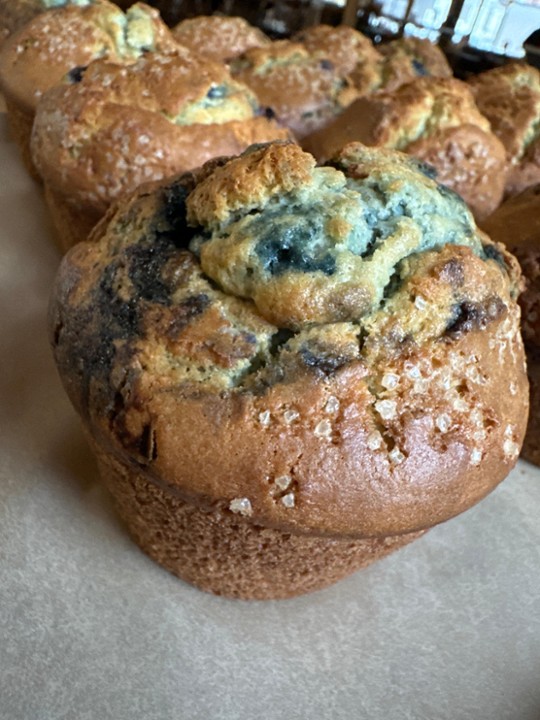 Blueberry  Muffin