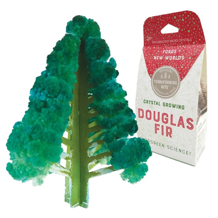 COP Crystal growing douglas fir