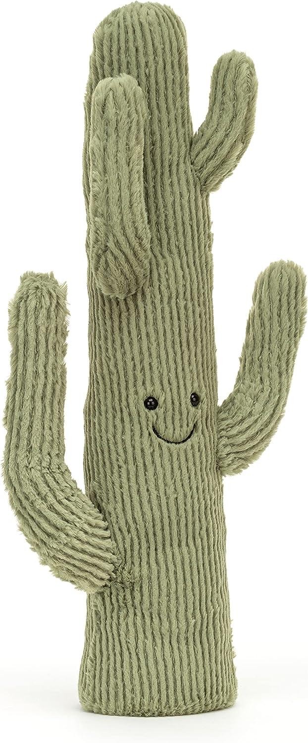 JEL Amuseable desert cactus