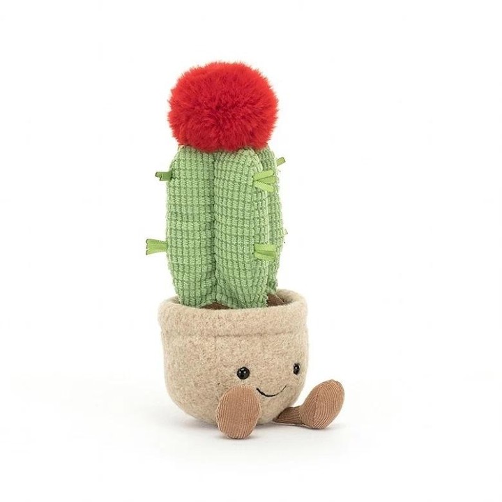 JEL Amuseable moon cactus