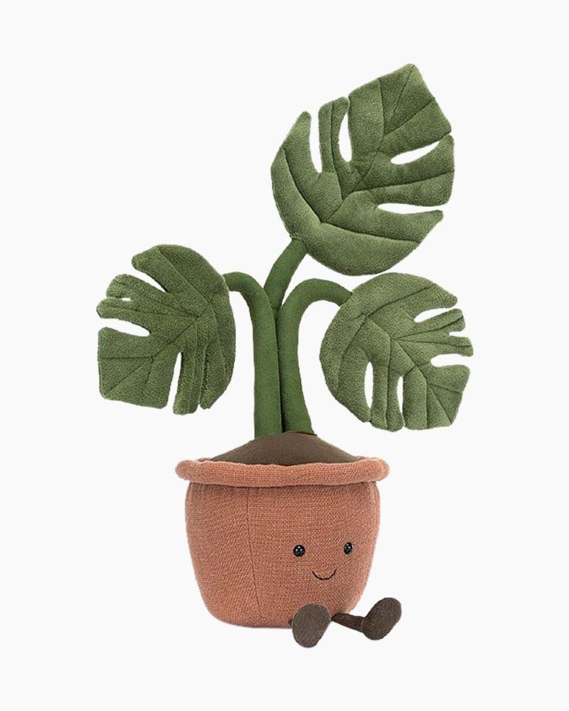 JEL Amuseable monstera plant