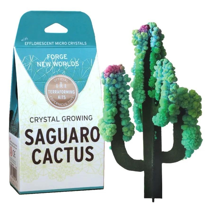 COP Crystal growing saguaro cactus