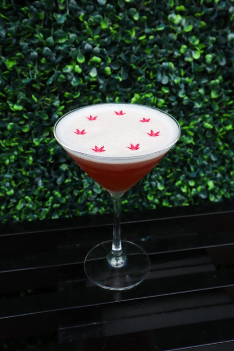 Watermelon Hibiscus Martini