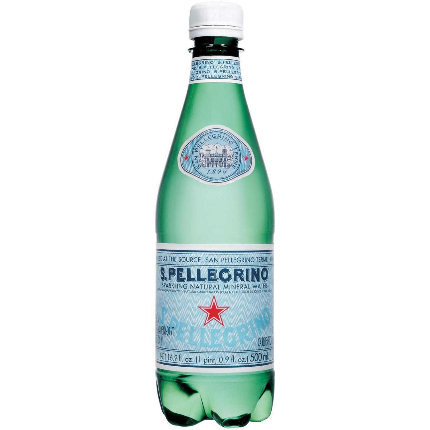 San Pellegrino S. Pellegrino Sparkling Natural Mineral Water, 16.9 Fl Oz (0.5 L) - 16.9 Oz