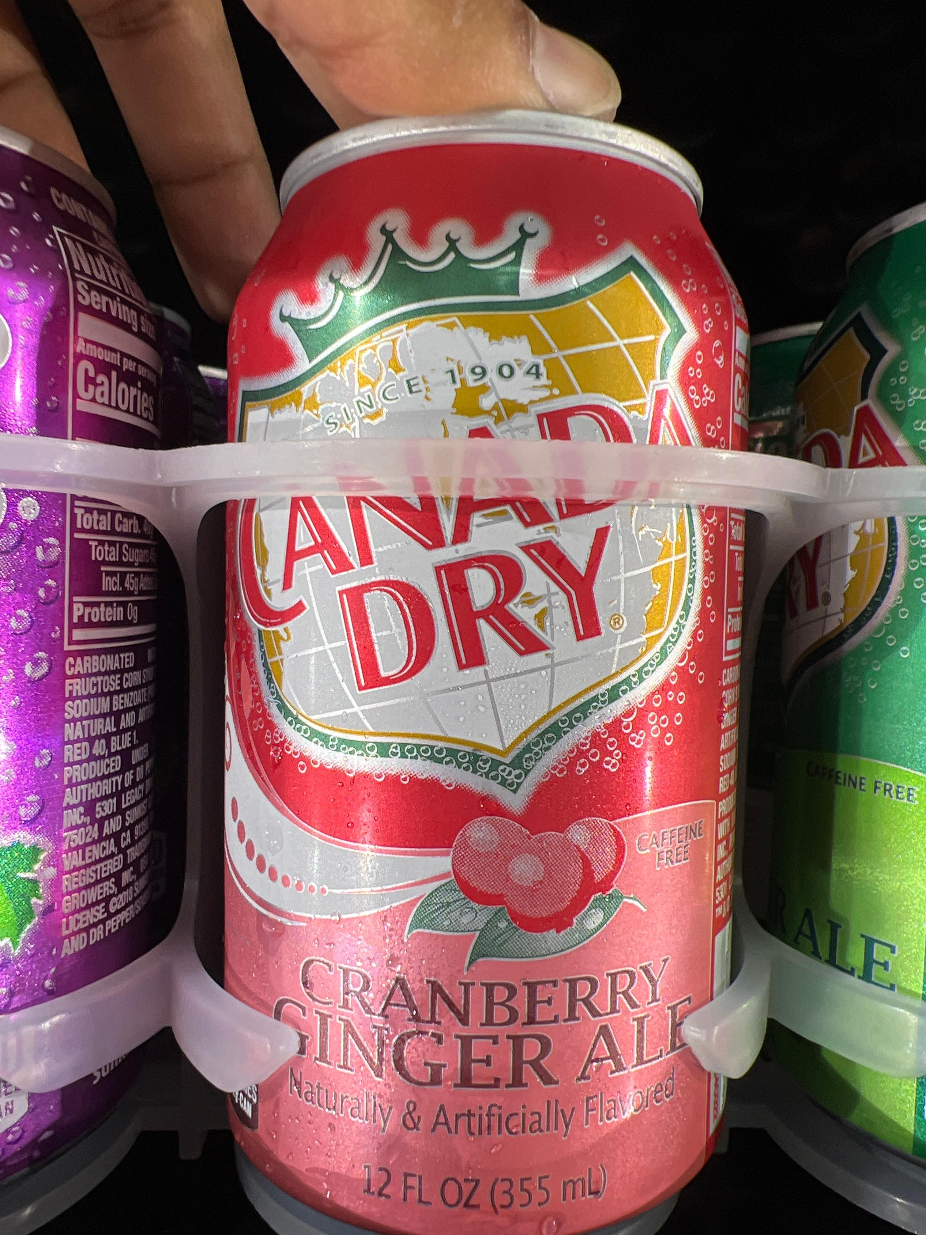 Canda Dry Can Cranberry