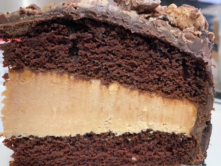 CHOCOLATE PEANUT BUTTER CAKE