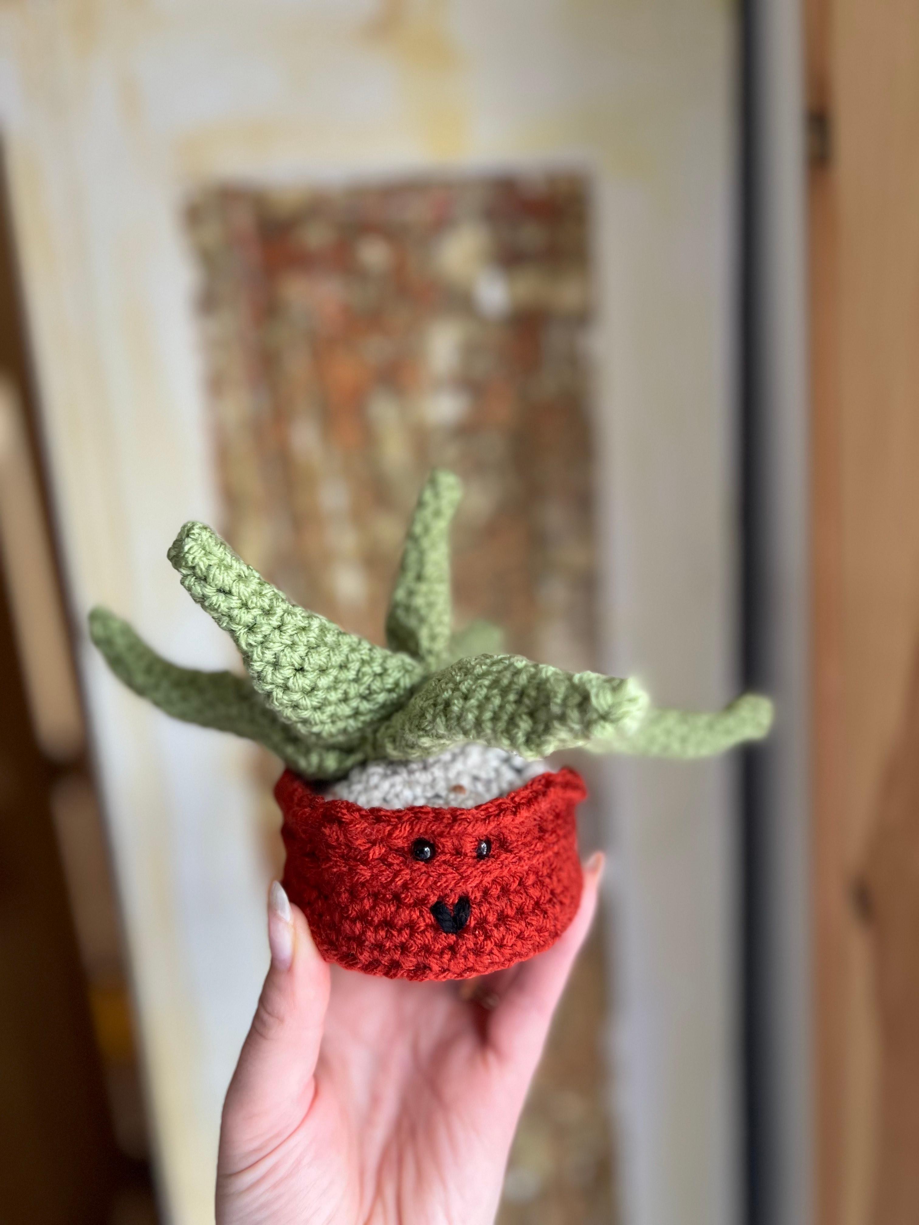Crocheted Aloe