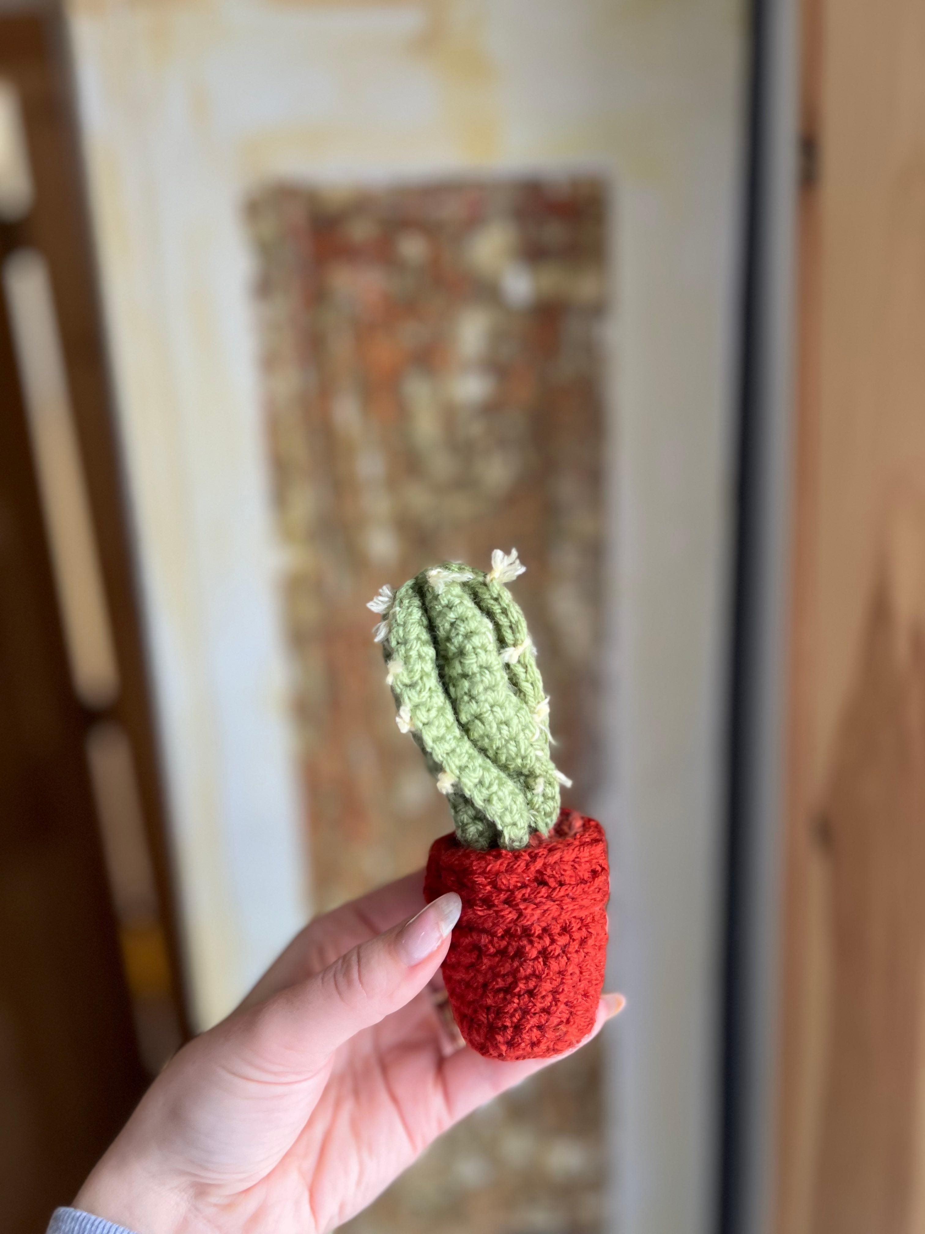 Crocheted Small Cactus