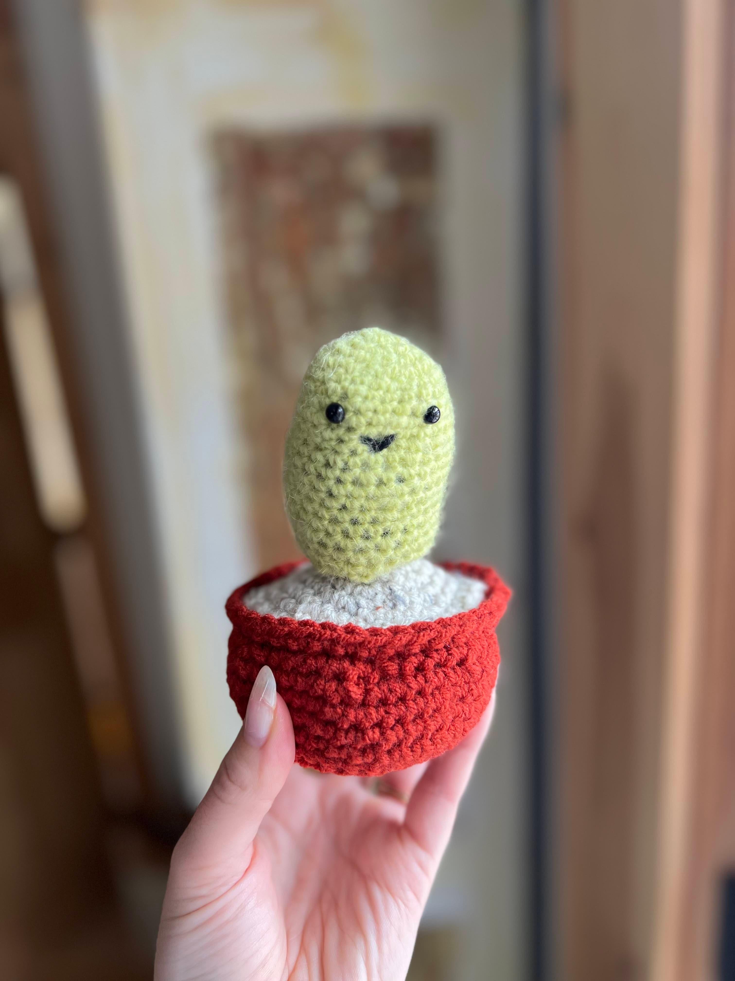 Crocheted Old Man Cactus