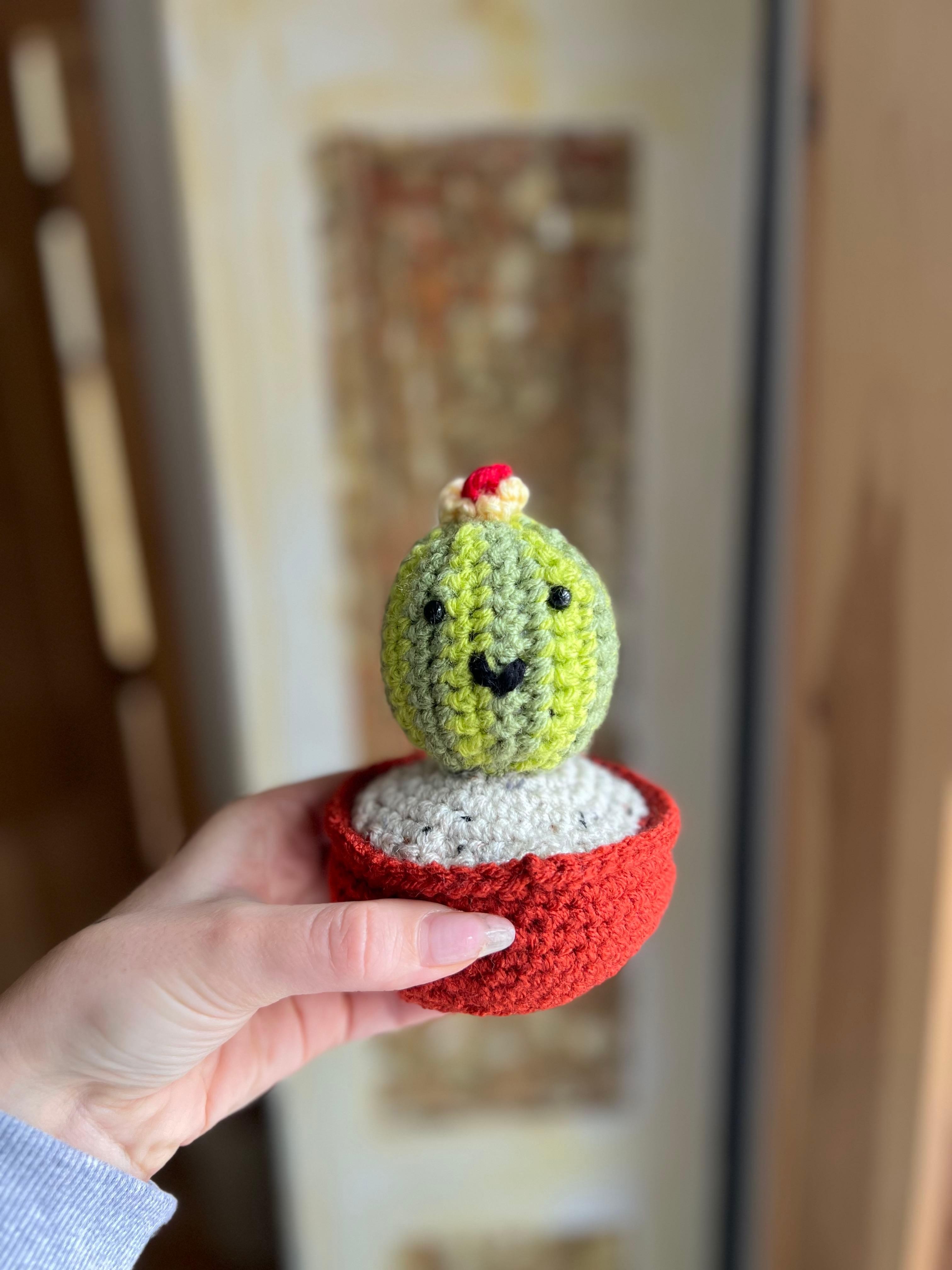 Crocheted Ball Cactus