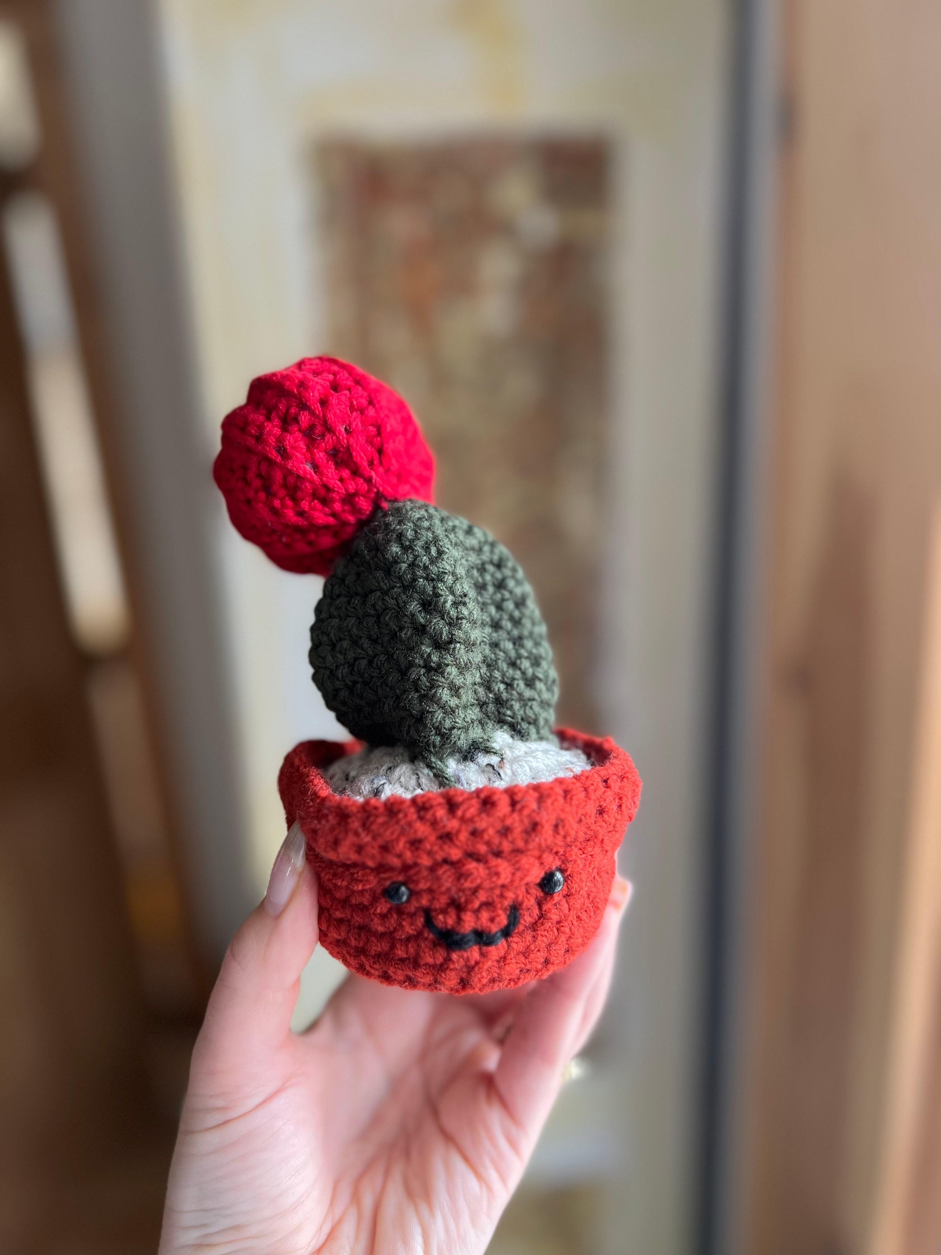 Crocheted Moon Cactus