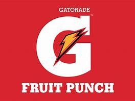 Gatorade Fruit Punch