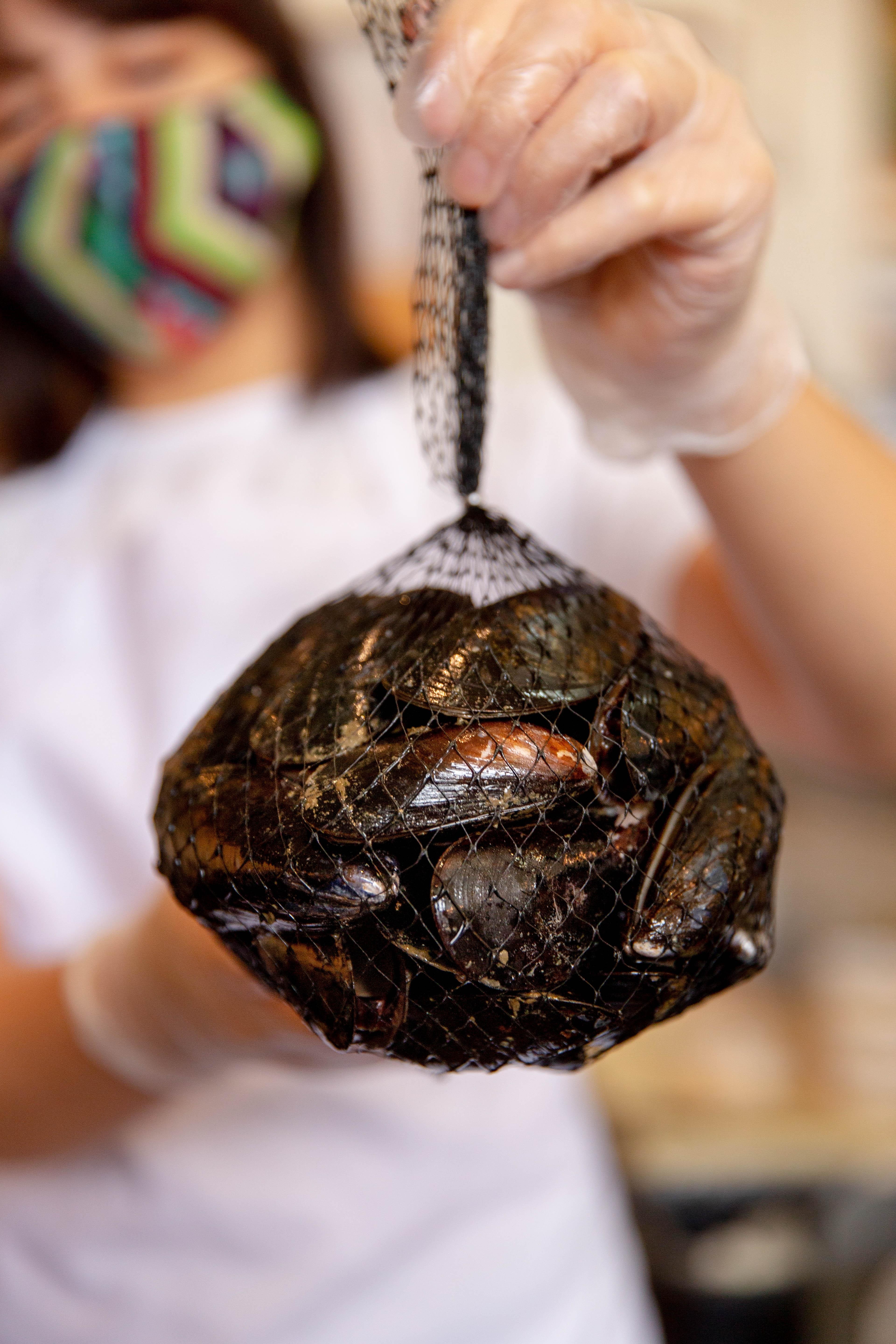 Maine Mussels (2 lb.)