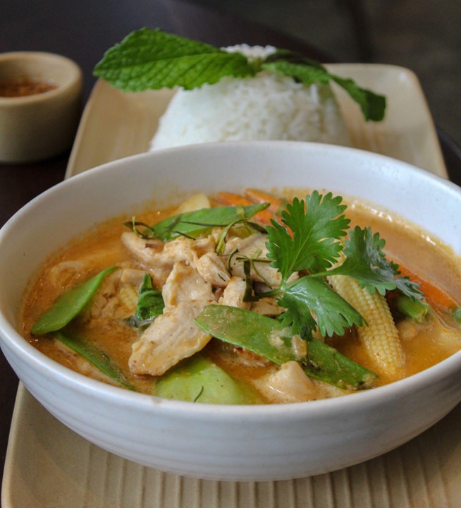 CHICKEN BREAST & VEG RED CURRY