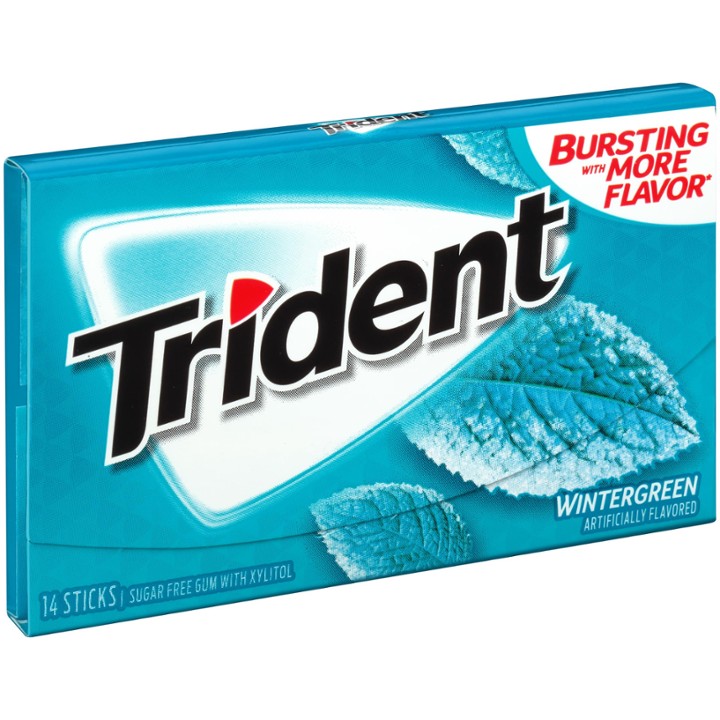 Trident Sugar Free Wintergreen Gum, 14 Pieces/Pack, 12/Pack (304-00058)
