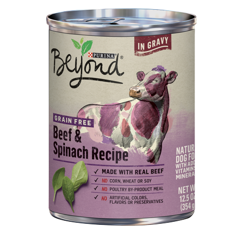Purina Beyond Grain Free in Gravy Wet Dog Food Beef & Spinach Recipe - 12.5oz