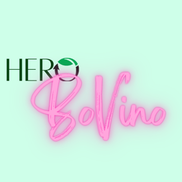 HERO BoVino- ATL 1000 White ST SW logo