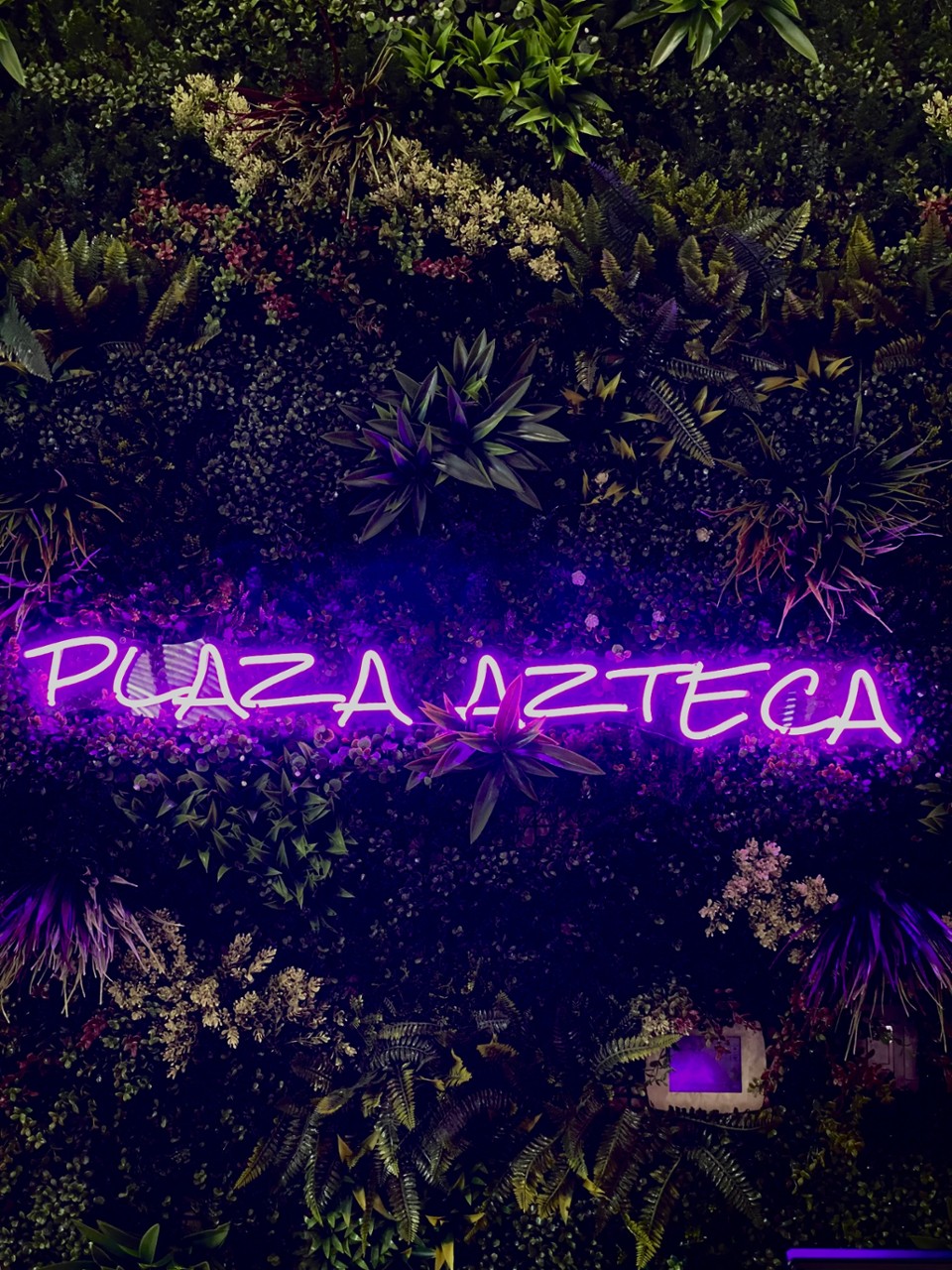 Plaza Azteca