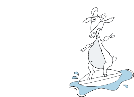 Belly Goat Burgers 725 Front Street