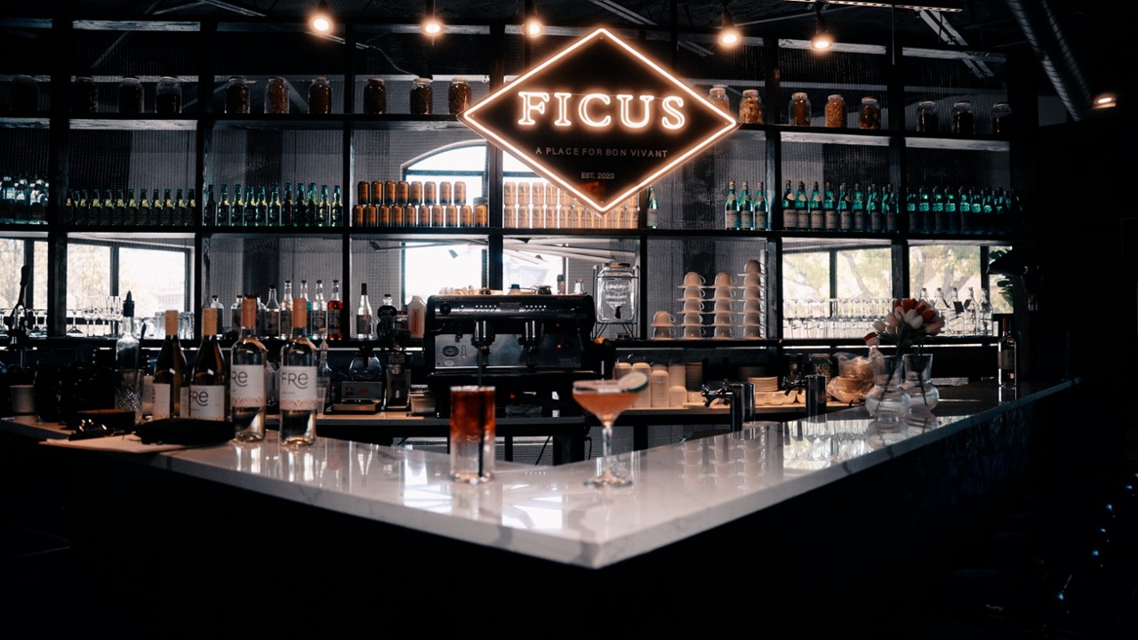 Ficus