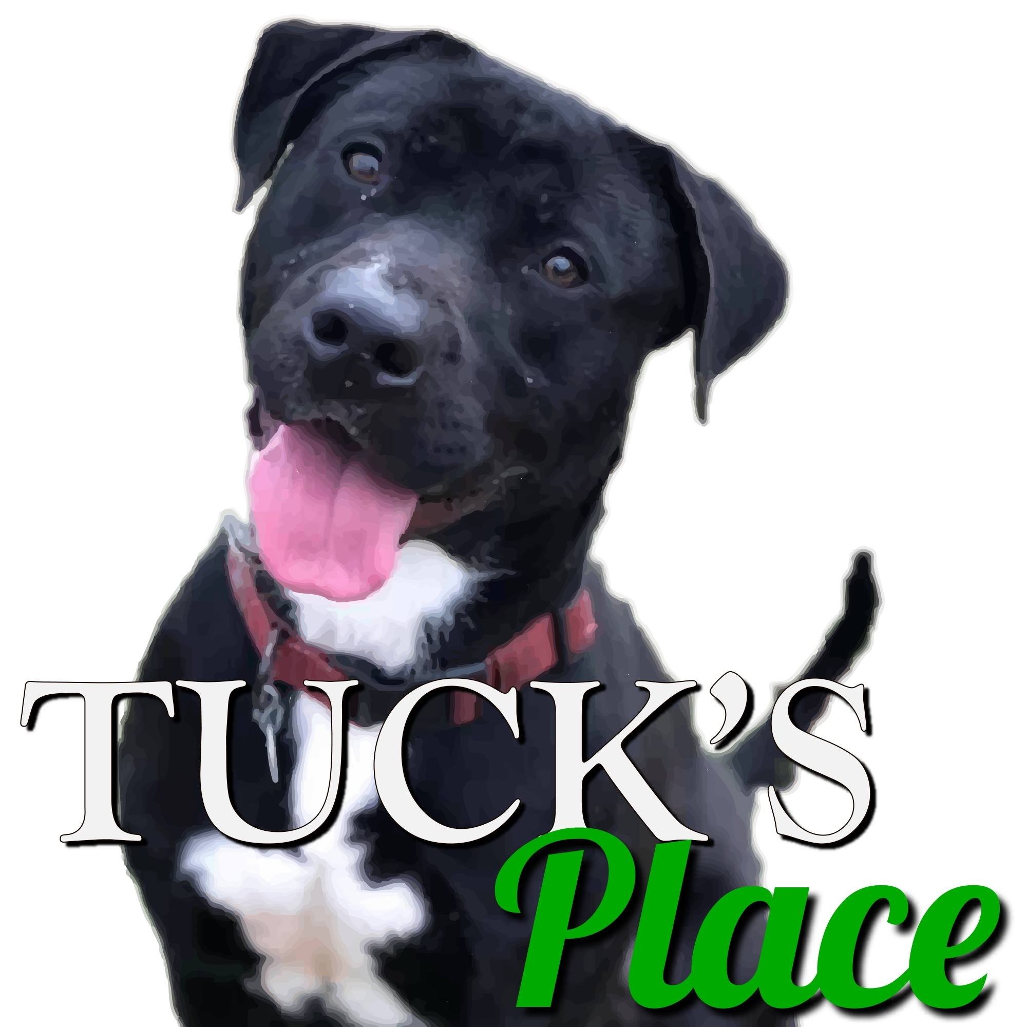 Tuck's Place Quick Bites